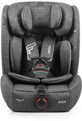 Fairgo Forza i-Size Autositz (76-150 cm) - Stein Grau